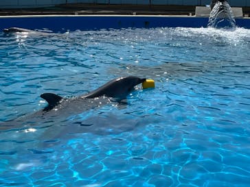 南知多ビーチランド＆南知多おもちゃ王国に投稿された画像（2022/3/30）