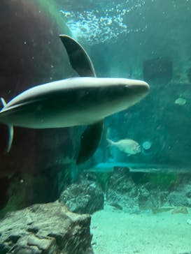 南知多ビーチランド＆南知多おもちゃ王国に投稿された画像（2022/3/30）