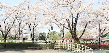 西武園ゆうえんちに投稿された画像（2022/3/30）