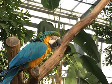 神戸どうぶつ王国に投稿された画像（2022/3/30）