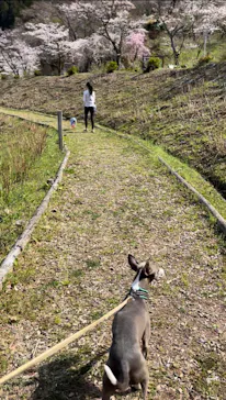 わんダフルネイチャーヴィレッジに投稿された画像（2022/3/30）