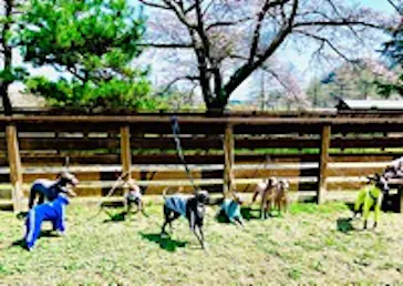 わんダフルネイチャーヴィレッジに投稿された画像（2022/3/30）