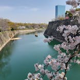 大阪城公園 西の丸庭園に投稿された画像（2022/3/30）