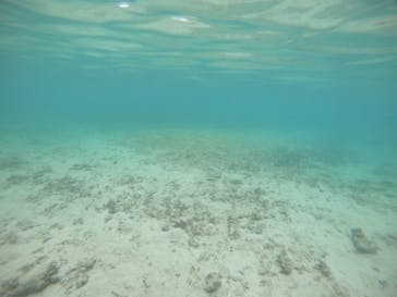 武藤潜水に投稿された画像（2022/3/30）