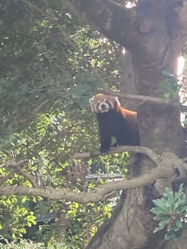 熱川バナナワニ園に投稿された画像（2022/3/30）