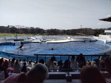 京都水族館に投稿された画像（2022/3/30）