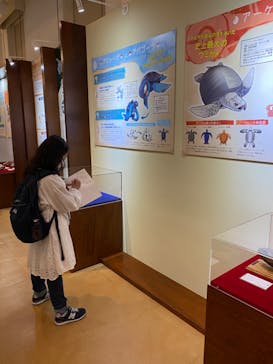 国立科学博物館　特別企画展「ポケモン化石博物館」に投稿された画像（2022/3/30）