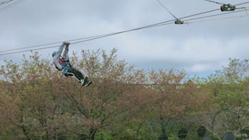 伊豆ぐらんぱる公園に投稿された画像（2022/3/30）