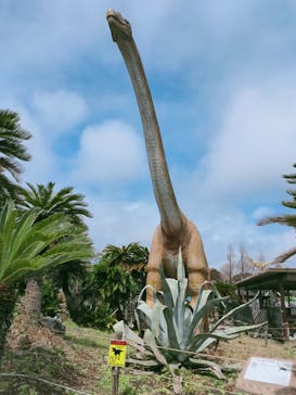 伊豆ぐらんぱる公園に投稿された画像（2022/3/30）