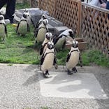 名古屋港水族館に投稿された画像（2022/3/30）