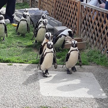 名古屋港水族館に投稿された画像（2022/3/30）