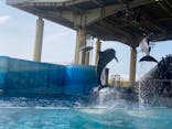 新江ノ島水族館に投稿された画像（2022/3/30）