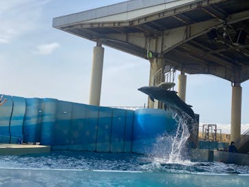 新江ノ島水族館に投稿された画像（2022/3/30）