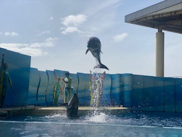 新江ノ島水族館に投稿された画像（2022/3/30）