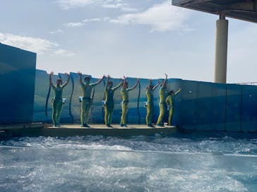 新江ノ島水族館に投稿された画像（2022/3/30）