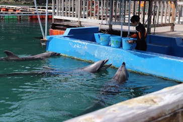 下田海中水族館に投稿された画像（2022/3/30）