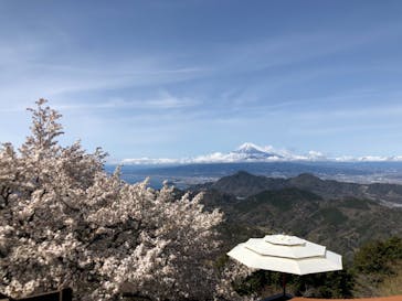 伊豆パノラマパークに投稿された画像（2022/3/30）