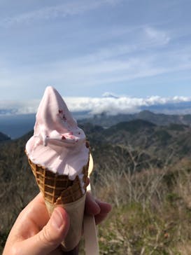 伊豆パノラマパークに投稿された画像（2022/3/30）