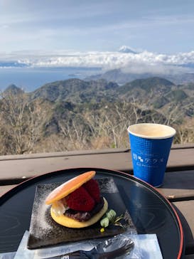 伊豆パノラマパークに投稿された画像（2022/3/30）