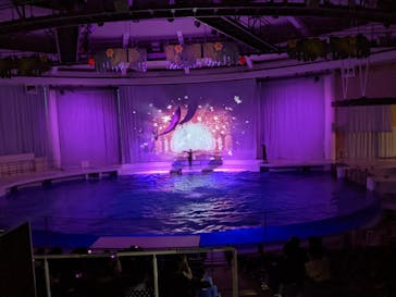 アクアワールド茨城県大洗水族館に投稿された画像（2022/3/30）