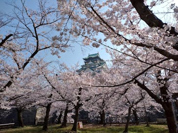 大阪城公園 西の丸庭園に投稿された画像（2022/3/30）