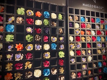 NAKED FLOWERS 2022 -桜- 世界遺産・二条城に投稿された画像（2022/3/30）