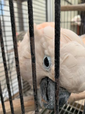 富士花鳥園に投稿された画像（2022/3/30）