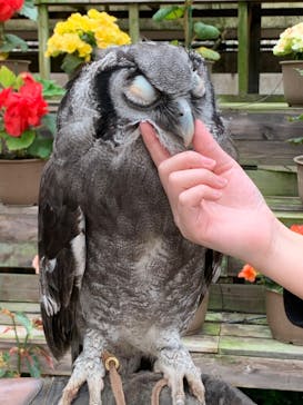 富士花鳥園に投稿された画像（2022/3/30）