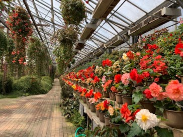 富士花鳥園に投稿された画像（2022/3/30）