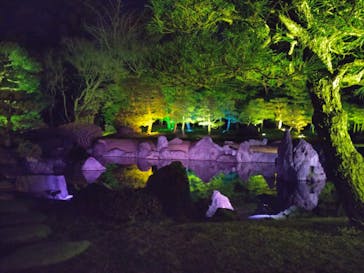 NAKED FLOWERS 2022 -桜- 世界遺産・二条城に投稿された画像（2022/3/30）