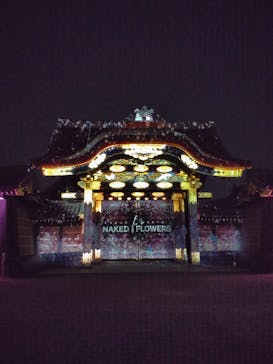 NAKED FLOWERS 2022 -桜- 世界遺産・二条城に投稿された画像（2022/3/30）