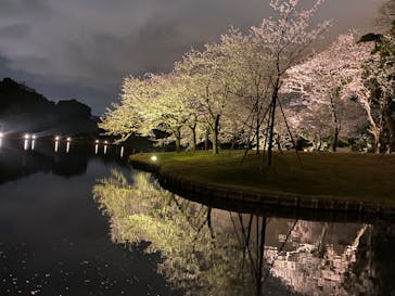 三溪園に投稿された画像（2022/3/30）