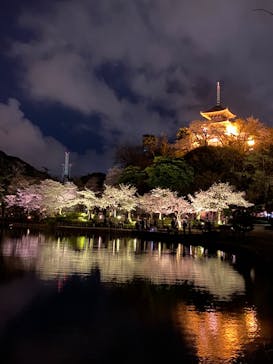 三溪園に投稿された画像（2022/3/30）