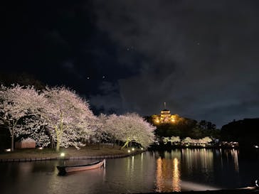 三溪園に投稿された画像（2022/3/30）