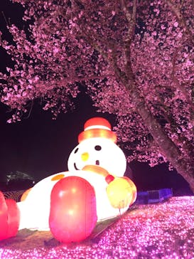 さがみ湖MORI MORIに投稿された画像（2022/3/30）