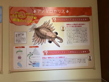 国立科学博物館　特別企画展「ポケモン化石博物館」に投稿された画像（2022/3/30）