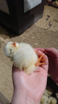 Moff animal world MARK IS みなとみらい店に投稿された画像（2022/3/30）