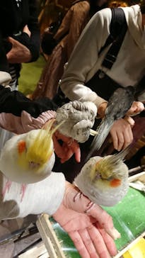 Moff animal world MARK IS みなとみらい店に投稿された画像（2022/3/30）