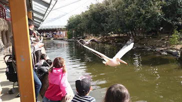 神戸どうぶつ王国に投稿された画像（2022/3/30）