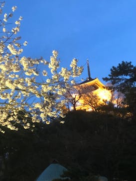 三溪園に投稿された画像（2022/3/30）