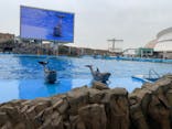名古屋港水族館に投稿された画像（2022/3/31）