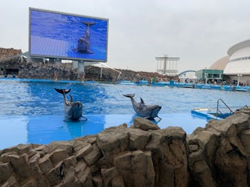 名古屋港水族館に投稿された画像（2022/3/30）