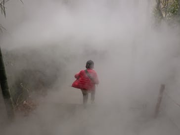 よみうりランド 遊園地に投稿された画像（2022/3/30）