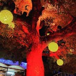 ひらかたパークに投稿された画像（2022/3/31）