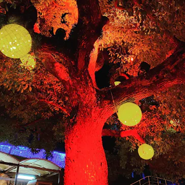 ひらかたパークに投稿された画像（2022/3/30）