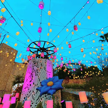 ひらかたパークに投稿された画像（2022/3/30）