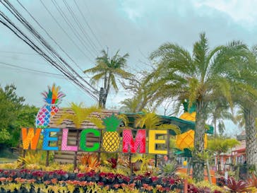 ナゴパイナップルパークに投稿された画像（2022/3/31）