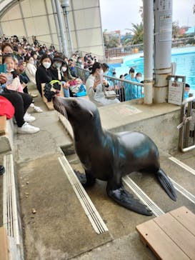 南知多ビーチランド＆南知多おもちゃ王国に投稿された画像（2022/3/31）