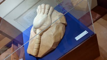 国立科学博物館　特別企画展「ポケモン化石博物館」に投稿された画像（2022/3/31）