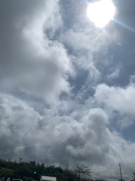 武藤潜水に投稿された画像（2022/3/31）